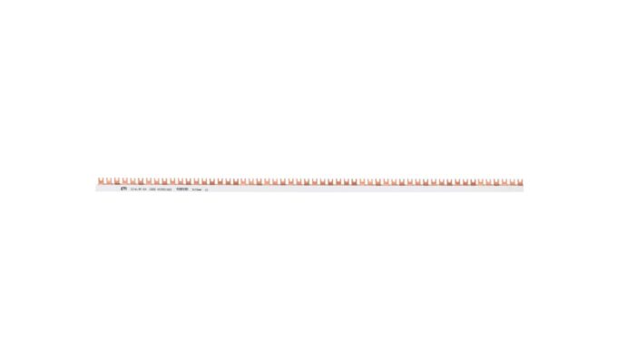 4382533-.jpg