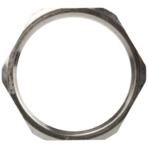 Nakrętka mosiężna PG29 SKINDICHT SM 29 52003550 - obrazek 1