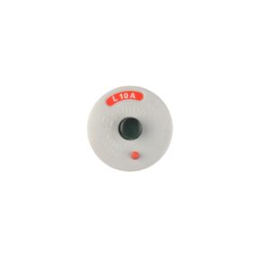Wyłącznik nadmiarowy wkrętkowy L-16A GHS101 2160 VP0 - obrazek 1
