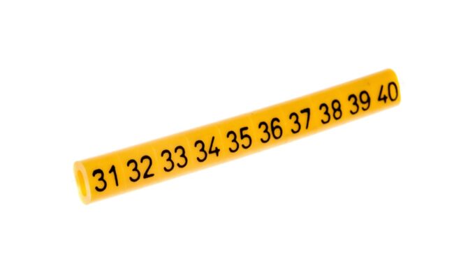 4397689-.jpg