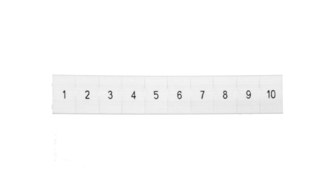 4397794-.jpg