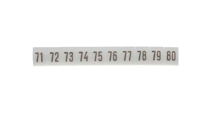 4397801-.jpg