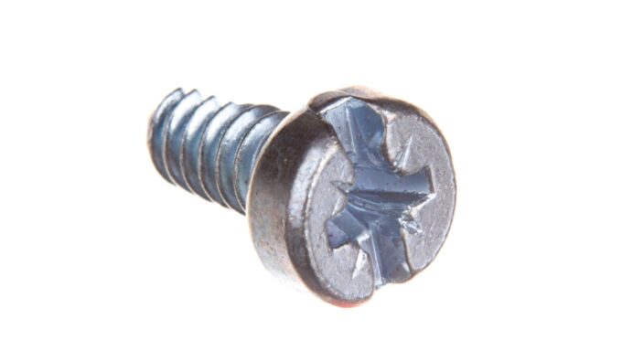4353029-.jpg