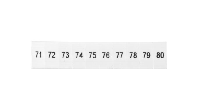 4397948-.jpg