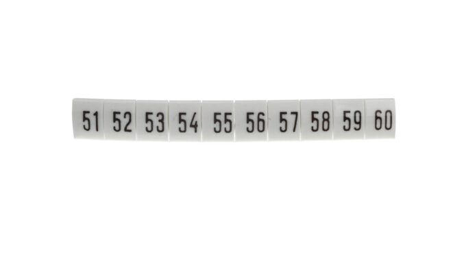 4397960-.jpg