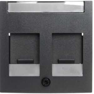 Berker B.1/B.3/B.7 Glas Element centralny podwójny z zasuwami chroniącymi przed kurzem z polem opisowym antracyt 11811606 - obrazek 1