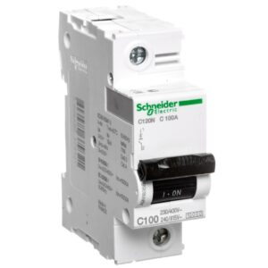Wyłącznik nadprądowy 1P C 100A 10kA AC C120N A9N18358 - obrazek 1