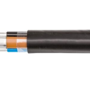 Kabel energetyczny YAKXS 4x240 żo SE 0,6/1kV /bębnowy/ - obrazek 1
