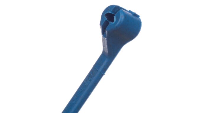 4893985-.jpg