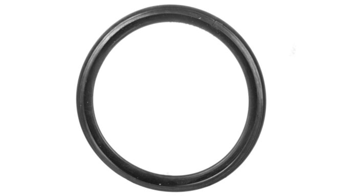 6002239-.jpg
