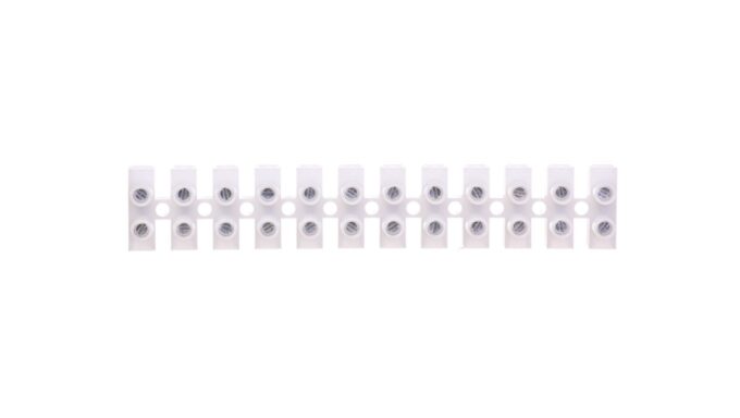 6007383-.jpg