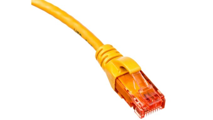 6506008-.jpg