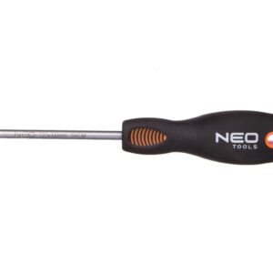 Wkretak Torx T25 x 100 mm SvCm 04-046 - obrazek 1