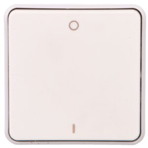 PLEXO55 Łącznik dwubiegunowy biały/ ecru 069627 - obrazek 1