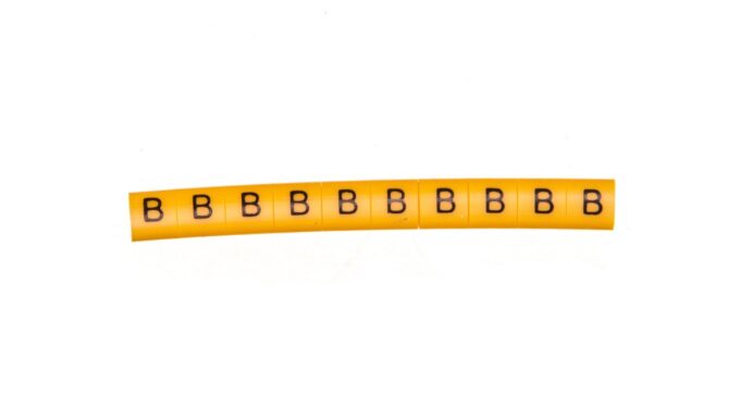 4373631-.jpg