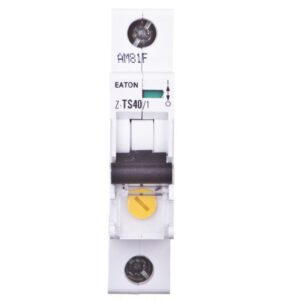 Wyłącznik taryfowy 1P 25-40A Z-TS40/1 266854 - obrazek 1
